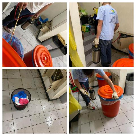 品誠環管貿易有限公司 - 蟑螂施作 品誠環管貿易有限公司 - 蟑螂施作