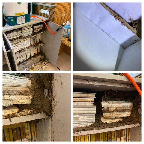 品誠環管貿易有限公司 - 白蟻防治 品誠環管貿易有限公司 - 白蟻防治