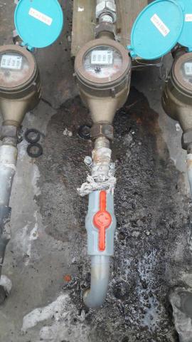 范佐標 -  范佐標 -