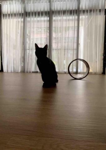 阿蘇的瑜珈*瑜珈輪課程 - 