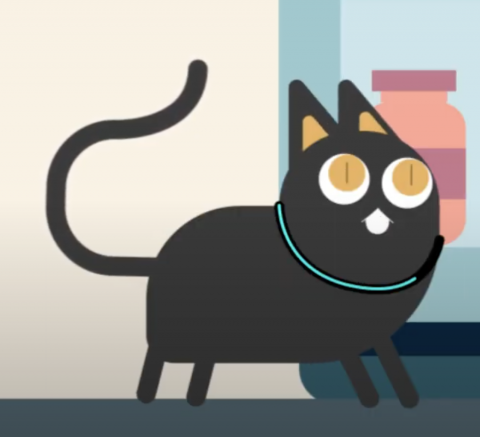 Alice | 插畫設計 - 向量風格設計 Alice | 插畫設計 - 向量風格設計