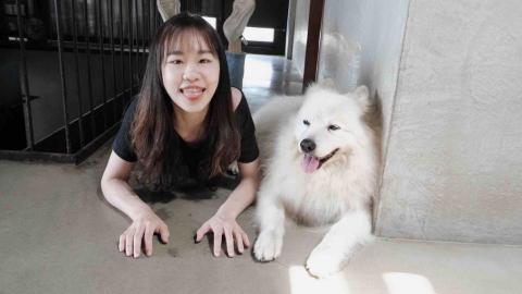 提供數學教學服務的專家陳姿瑜