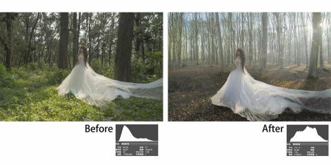 陳柏仲 - 影像合成