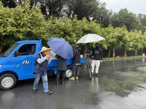 醋咪娛樂有限公司 - 