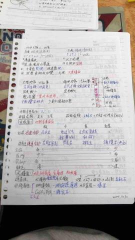 吳珮榆（臺灣大學） - 高中地科