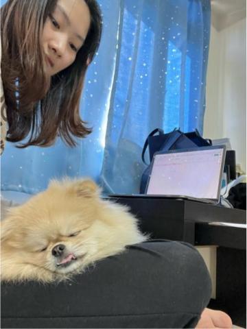 阮氏青水 - 十萬火急的案子
但沒關係
我可以
合同越翻中