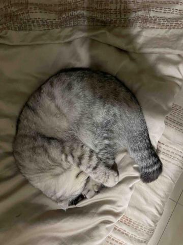 提供windows筆電服務的專家陳俊佑