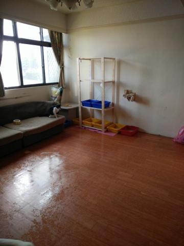 愛醬 - 整理、清潔寵物環境