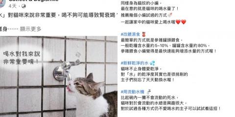 小梓 - 寵物相關粉絲團