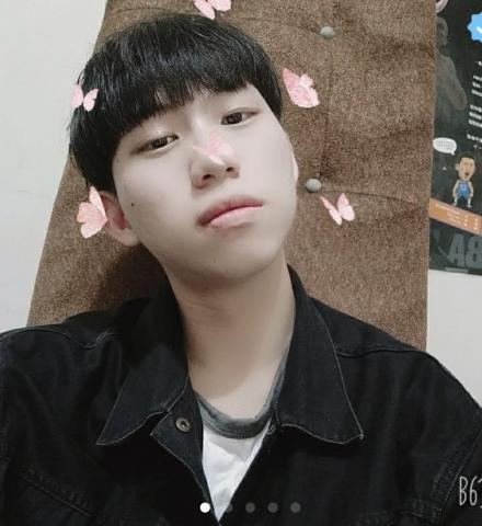 毛毛 毛毛