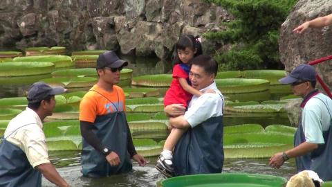 清淨心工作室 - 雙溪公園大王蓮展記者會
https://youtu.be/dBijc57mFVo
可複製影片連結參考作品~
