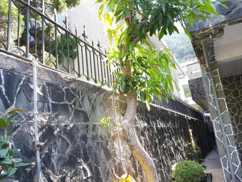 趙銘國際 - 居家歐式莊園圍欄工程