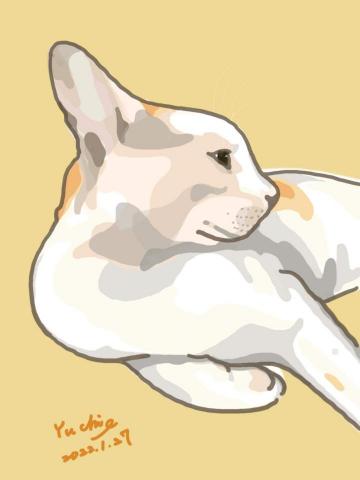 Nancy  - 插畫設計