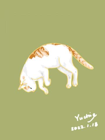 Nancy  - 插畫設計