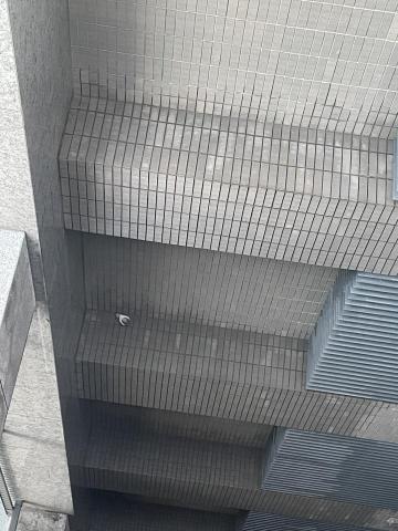 柏悦外牆工程行 - 外牆天井清洗後 柏悦外牆工程行 - 外牆天井清洗後