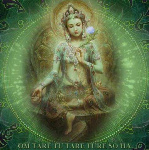 提供jlpt1服務的專家千里貓**翻譯