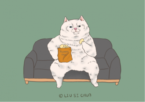 糸糸絵所 - 貓 糸糸絵所 - 貓