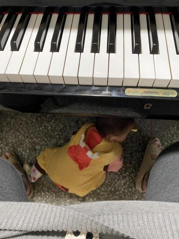 提供大提琴服務的專家未命名公司