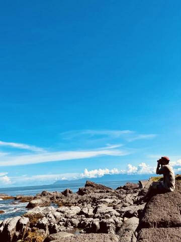 提供烏克麗麗服務的專家未命名公司