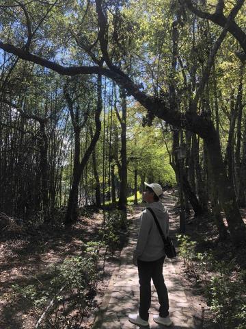 提供木地板服務的專家致在室內設計