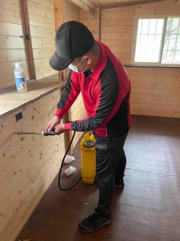 討唐除蟲 - 小木屋白蟻防治