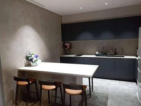 堡證油漆 - 這也是SCT306,但做白燈光