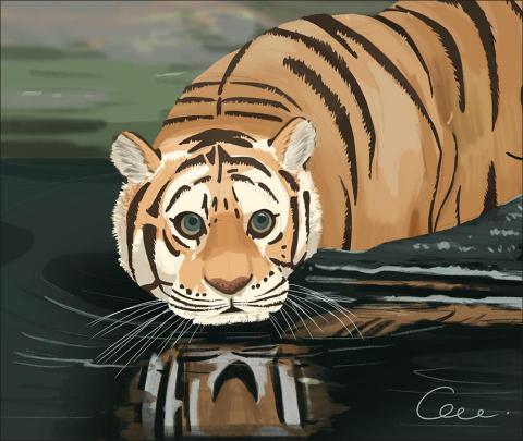 CCC工作室 - 美式插圖