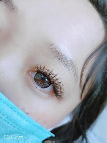 Anna蝴蝶睫 - Y毛嫁接