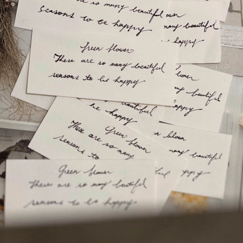 SOFI Studio - 花藝課手寫小卡設計