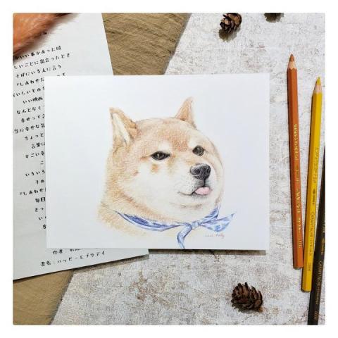 04 Art studio - 療癒寵物色鉛筆