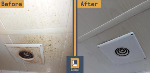 黛琳整合DL Integrated - 