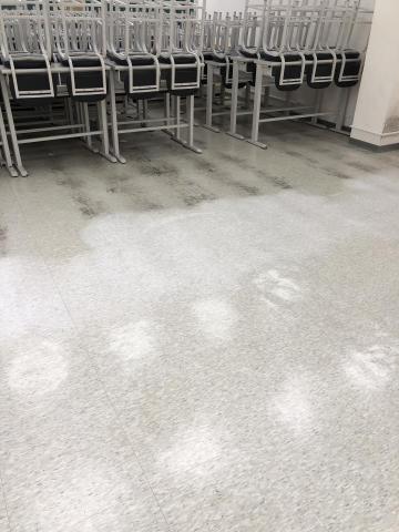 克萊恩清潔 - 補習班塑膠地板清洗