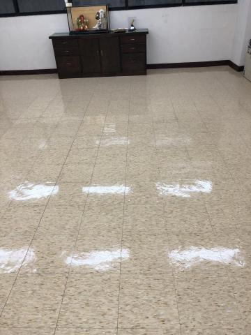 克萊恩清潔 - 打蠟完成(塑膠地板)