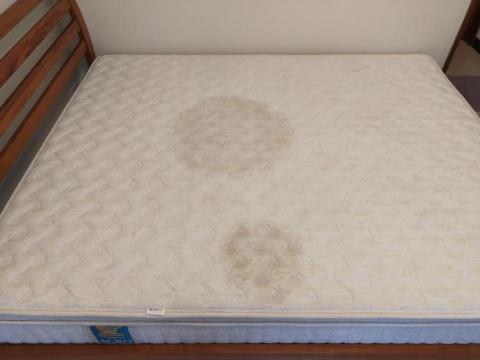 家立潔專業清潔 - 前 家立潔專業清潔 - 前