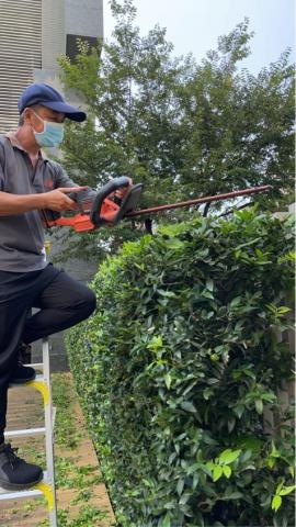 尚青園藝企業社 - 