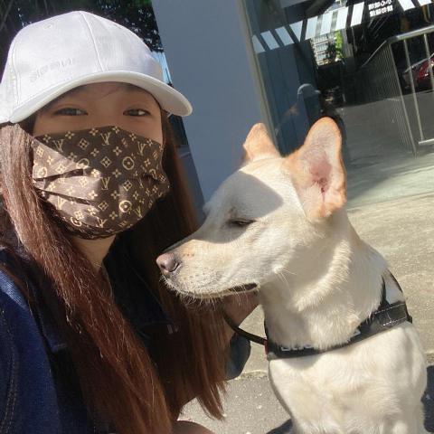 米豆工作室 - 寵物照顧