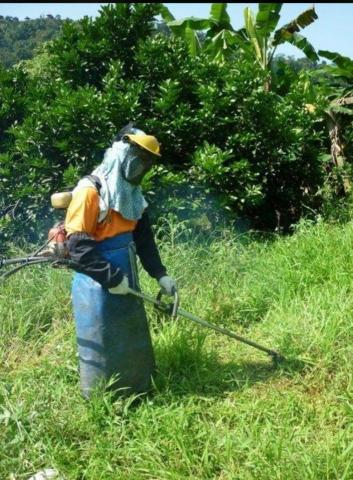 裝修-清潔-防水-馬姐 - 花園割草整理