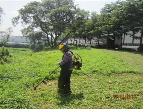 裝修-清潔-防水-馬姐 - 路邊公園割草整理