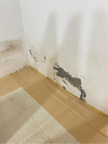 百事工程 -  百事工程 -