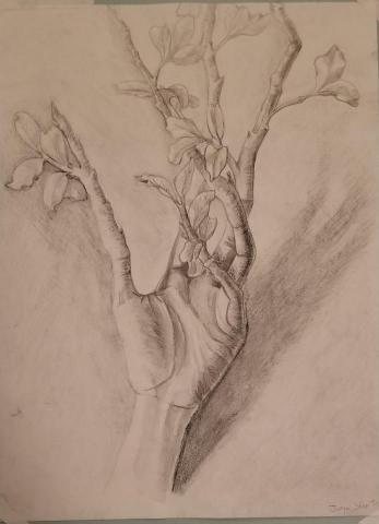 插畫師大魚 Ray Shen - 素描創作-自然得生長