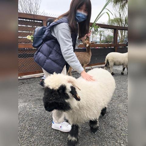 提供106服務的專家Li