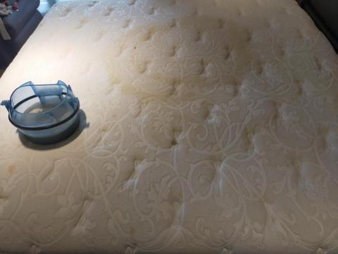 家立潔專業清潔 -  家立潔專業清潔 -