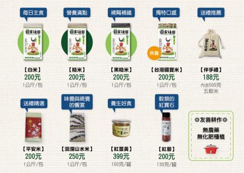 RURU LIN - 網路DM設計