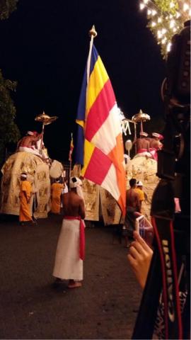 楊舒涵 - 斯里蘭卡 佛教紀錄片