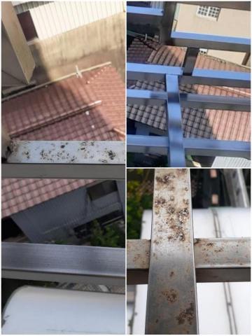 張馨云 - 陽台鐵架鐵鏽清潔前後照