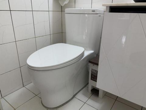 賴信維 - 二段式，電光牌單體馬桶