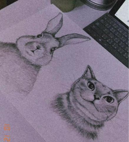 維維老師｜全職家教 - 素描 動物