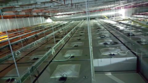 秦定謙 - 某園區科技廠施工