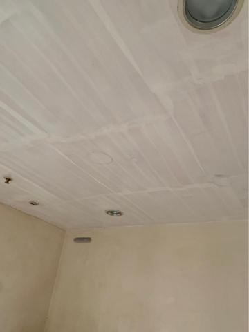 宬印工程行 - 天花板發霉處理（中）