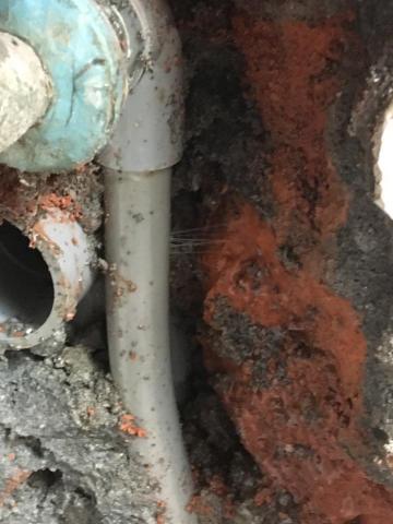 林志成 - 漏水管路抓漏